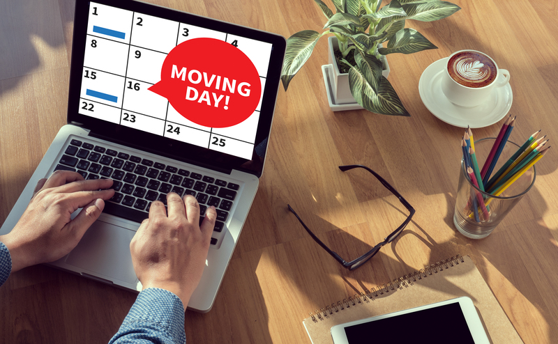 Professional moving van handling boxes and household items in St Johns